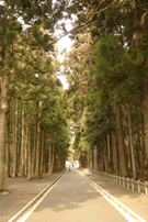 瑞严寺的参道